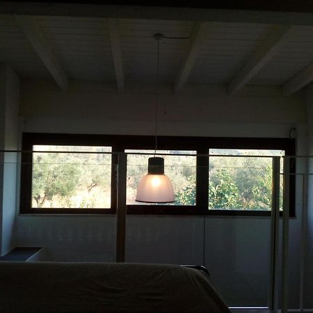 לורטו אפרוטינו Agriturismo Piccolo Albero חדר תמונה
