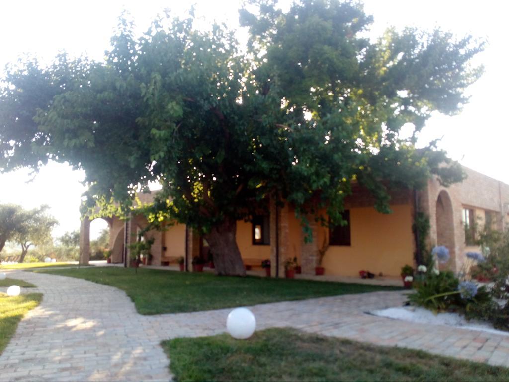 לורטו אפרוטינו Agriturismo Piccolo Albero מראה חיצוני תמונה