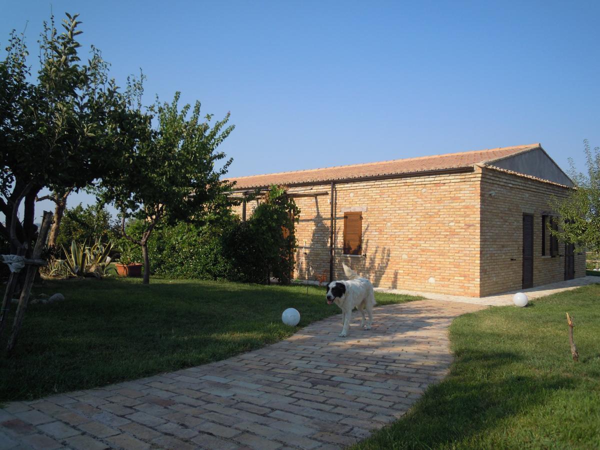 לורטו אפרוטינו Agriturismo Piccolo Albero מראה חיצוני תמונה