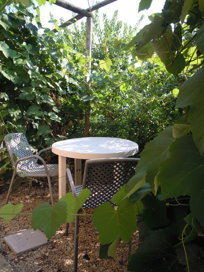לורטו אפרוטינו Agriturismo Piccolo Albero חדר תמונה
